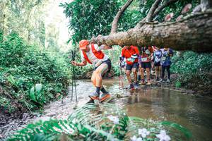 BIB: 
                            <button type="button" onclick="openModal(25476161)" class="btn btn-primary btn-sm float-right btn-popup" data-toggle="modal" data-target=".modal-high-quality">
                        <i class="fas fa-shopping-cart"></i> Add to Cart
                    </button>
                                            <button type="button" onclick="isThisMe(25476161, true)" class="btn btn-success btn-sm float-right btn-popup btn-isme hidden" data-toggle="tooltip" data-placement="bottom" title="นี่คือรูปของคุณใช่ไหม คลิกที่นี่เพื่อเอาเข้าอัลบั้ม">
                        <i class="fas fa-plus"></i> Add to album
                    </button>
                    <button type="button" onclick="isThisMe(25476161, false)" class="btn btn-warning btn-sm float-right btn-popup btn-isnotme hidden">
                        <i class="fas fa-ban"></i> Remove from album
                    </button>